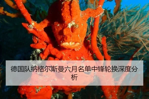 德国队纳格尔斯曼六月名单中锋轮换深度分析 - Bsports